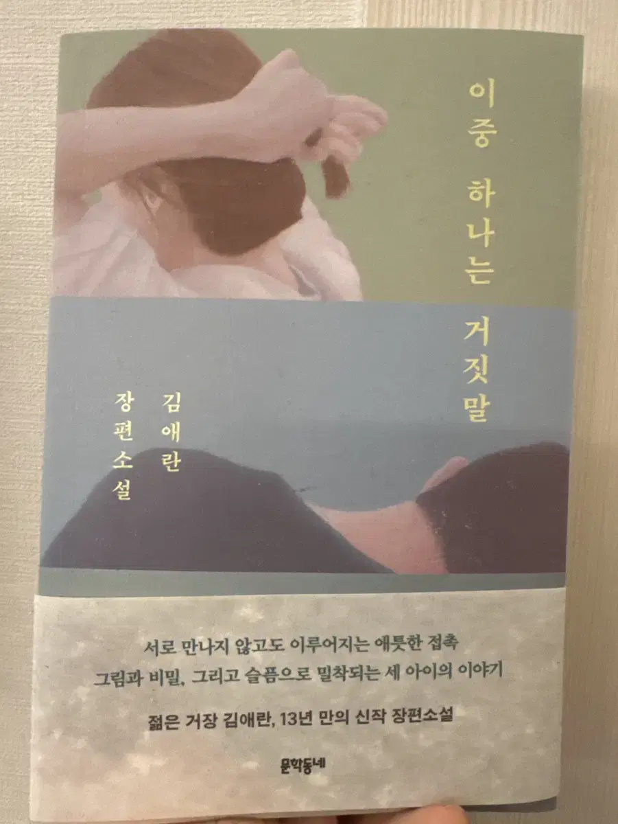 이중 하나는 거짓말 도서 팝니다.